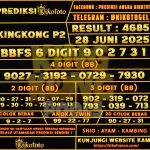 KING KONG P2