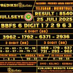 BULLSEYE 25