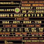 BULLSEYE 26