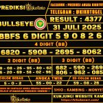 BULLSEYE 31