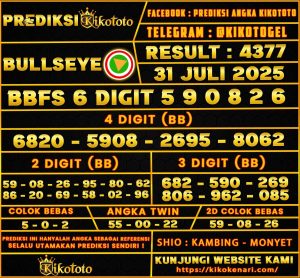 BULLSEYE 31