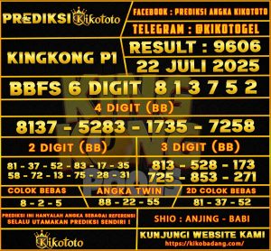 KINGKON P1 