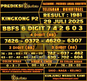 KINGKONG P2 29