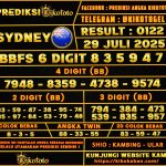 SYDNEY 29