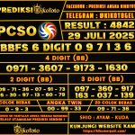 TOGEL PCSO 29