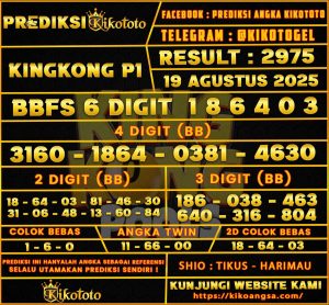 KINGKONG P1 19