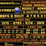 SYDNEY 13