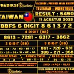 TAIWAN 11