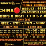 china 20