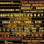 KINGKONG P2